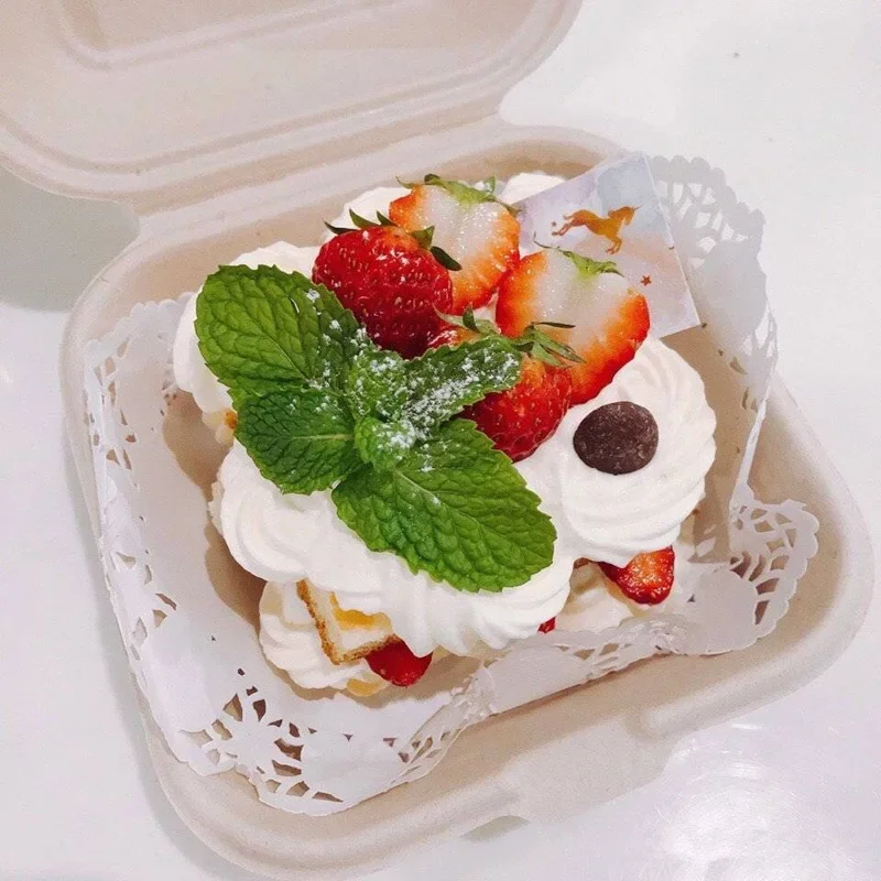 20/50 قطعة يمكن التخلص منها صد - مراجعة Xmas Food Storage Containers وسعره